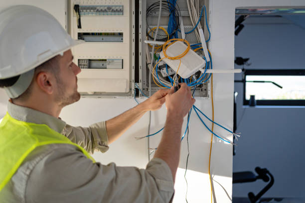 Best Electric Panel Repair  in Humboldt, IA