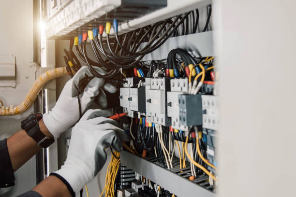 Best Electric Panel Repair  in Humboldt, IA